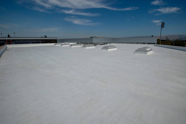 Best Flat Roofing  in Prestbury, IL